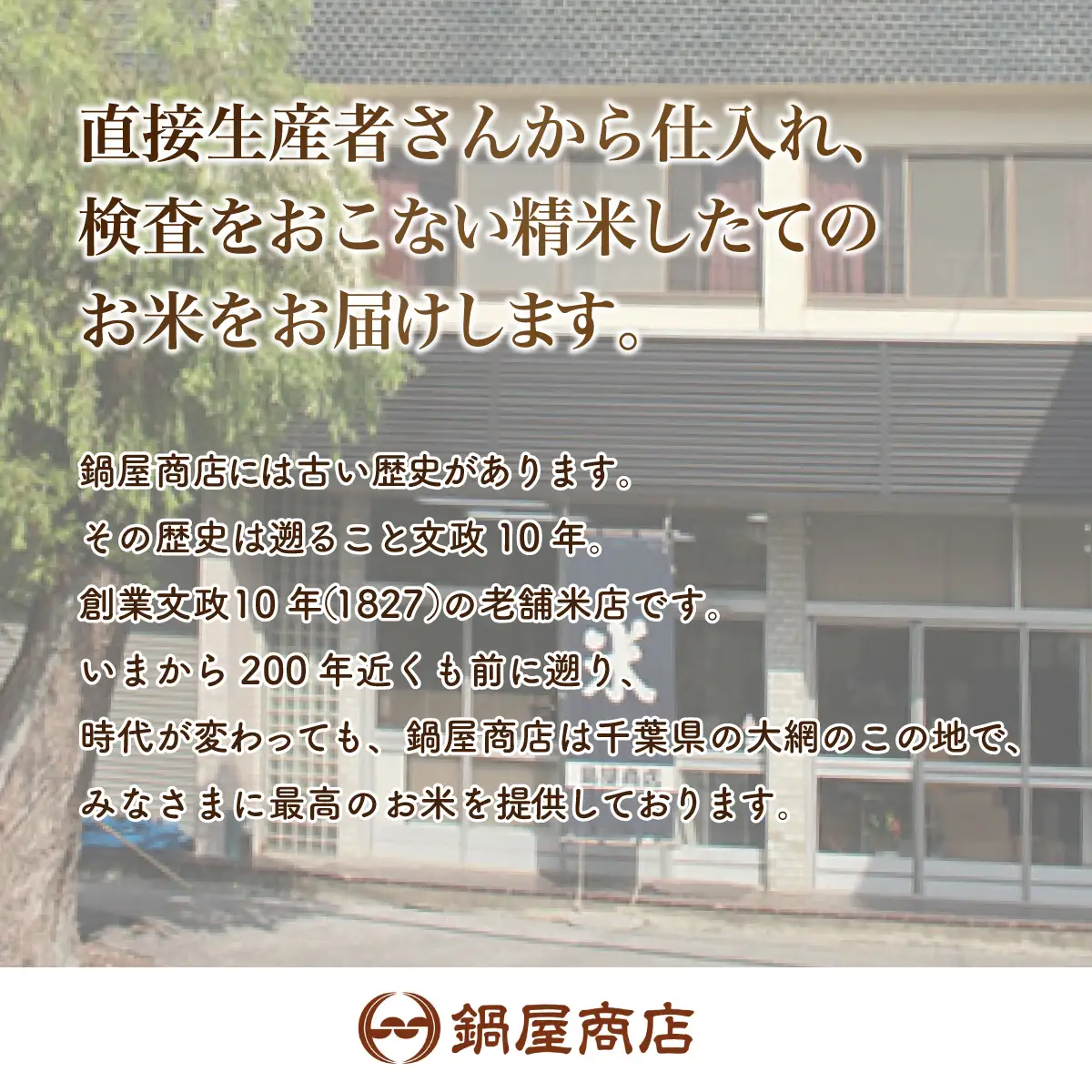 【最短2～7営業日出荷】令和7年産 2年連続特A評価!千葉県産コシヒカリ5kg無洗米（5kg×1袋） E008