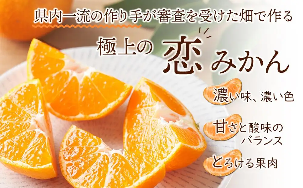 長崎恋みかん 5kg＜期間限定／先行予約＞【2026年11月中旬以降順次発送】｜みかん