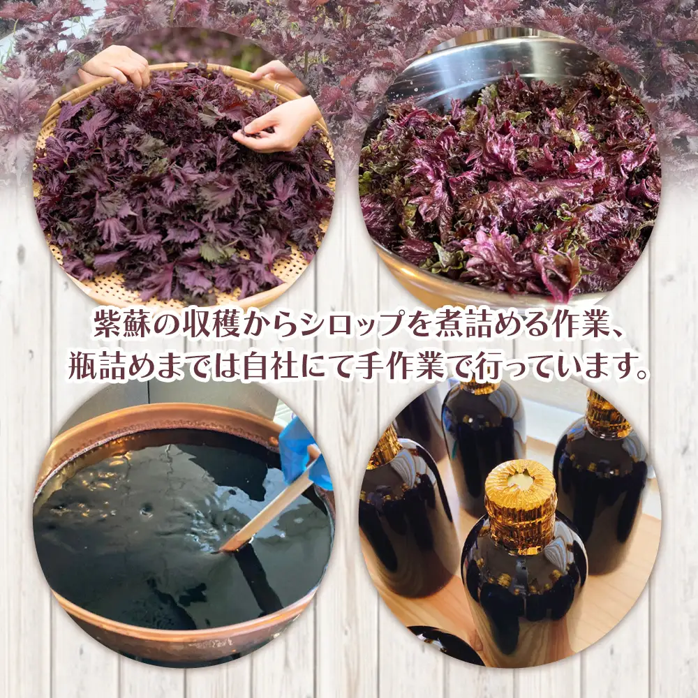 赤紫蘇シロップ 1本 300ml 紫蘇 tc-0007