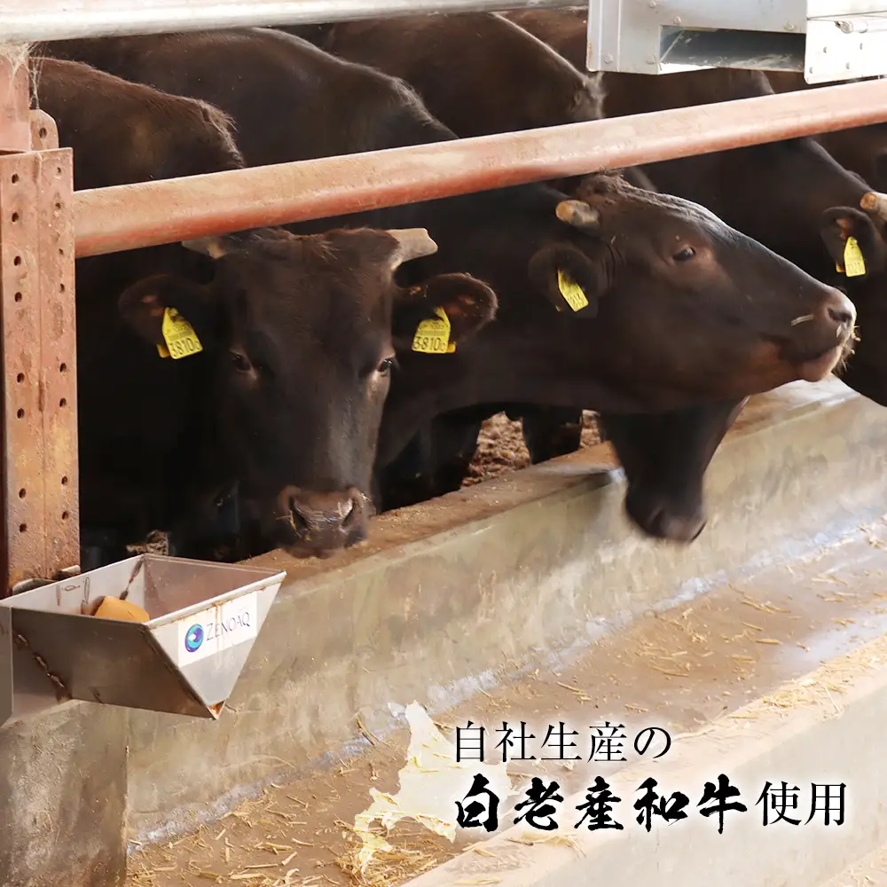 定期便 3カ月 和牛 粗びき 生 ハンバーグ 4個セット デミグラスソース付き 160ｇ×4袋