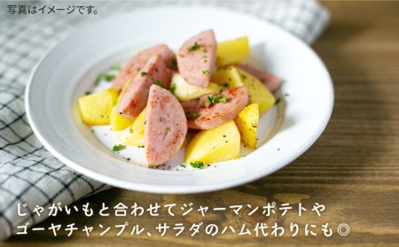 【限定20品！】竹原さんちの美豚ギフトセットA（ソーセージ300g×2本＋腕スライス約300g×3袋）  糸島市 / 竹原さんちの美豚 [AHK001]