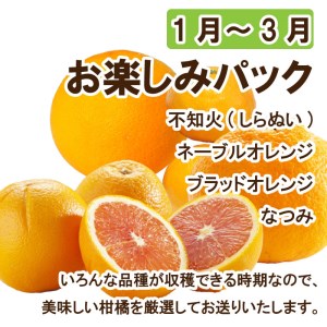 定期便 4回 4ヶ月 愛媛 みかん ポンカン 不知火 しらぬい ネーブルオレンジ なつみ ブラッドオレンジ 河内晩柑 愛南 ゴールド 柑橘 かんきつ フルーツ 果物 くだもの 数量 季節 限定 旬 セット 詰め合わせ 国産