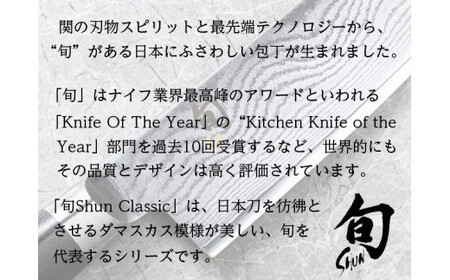 【59E0693】〈貝印〉旬Shun Classic シェフズナイフ（250mm）
