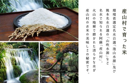 【令和6年産新米】うぶまい（コシヒカリ　白米）8kg〈阿蘇の名水　池山水源米〉