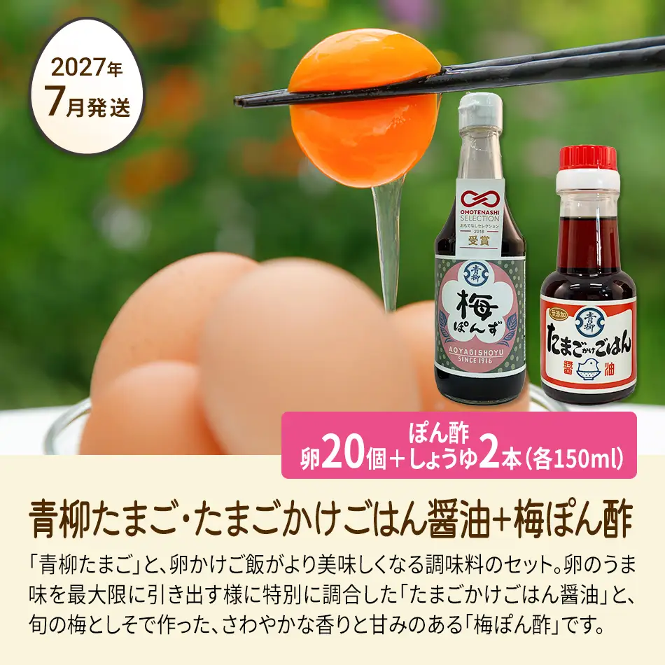 たまご後期定期便 6回発送（初回のみ醤油付き・たまご20個）20個×6回 合計120個 定期便 6ヶ月 卵 青柳たまご 送料無料 【2027年7月～12月の計6回お届け】
