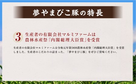 「夢やまびこ豚」焼肉セット 1.0kg | 豚肉 肉 詰め合わせ セット 焼肉用 焼き肉 BBQ 小分け 真空パック 冷蔵 送料無料