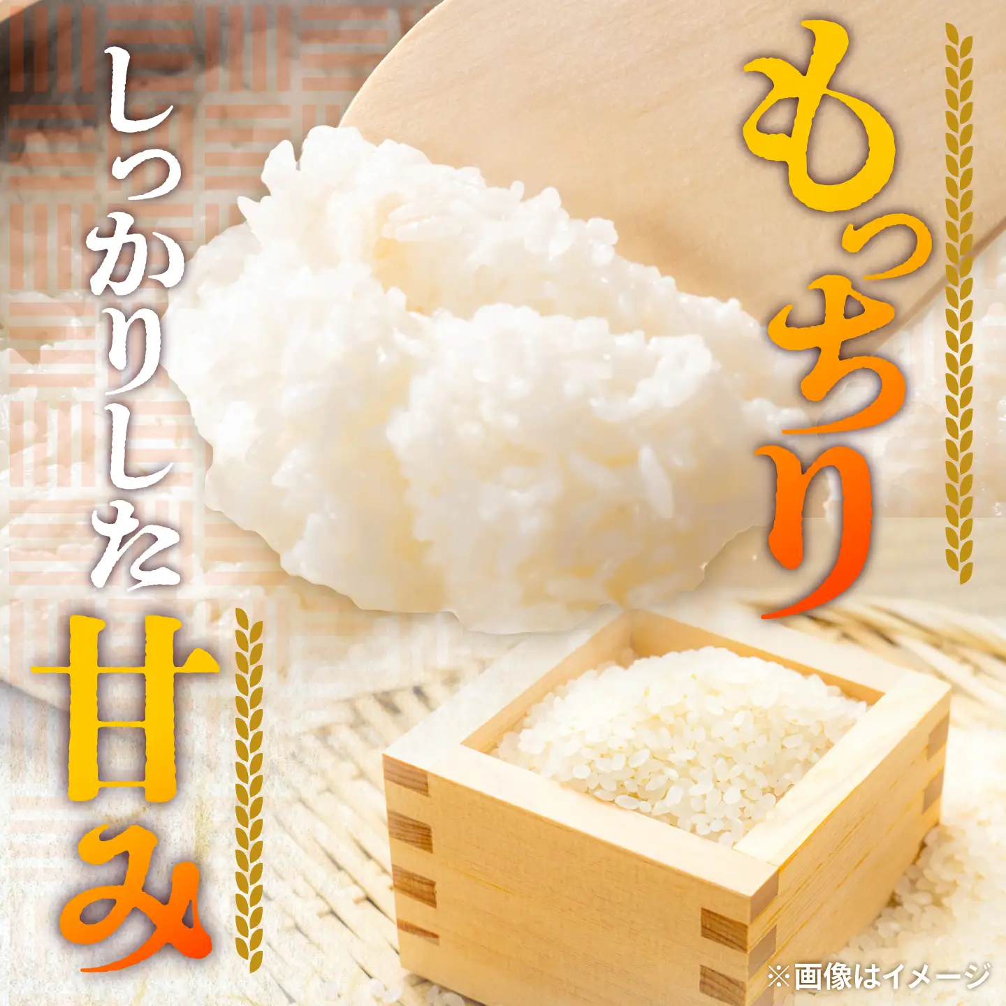 【先行予約/10月下旬以降順次発送】【令和8年産】福井県産 あきさかり 10kg 白米 若狭の恵 新米  [BFAG014]