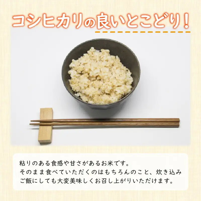 【令和8年産】福井県産あきさかり 玄米 30kg 若狭の恵 玄米 [BFAG015]