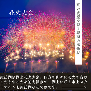 宿泊利用券 20,000円分 / 諏訪湖温泉旅館協同組合 宿泊 上諏訪温泉 諏訪湖 信州 長野県 諏訪市 諏訪 [44-06]
