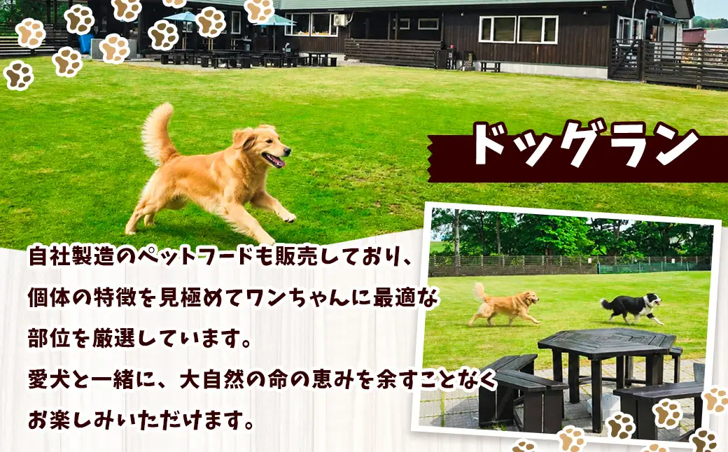 A004 犬用 エゾシカ肉 ドッグフード わんdeereフルセット 北海道 鷹栖町 山恵 ドックフード