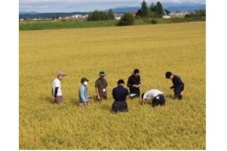 A155 【 令和６年産 】 夢見鷹 ゆめぴりか　おぼろづき　ブレンド 米 （ 玄米 ）5㎏ 北海道 鷹栖町 Next Agri．Takasu 米 コメ こめ ご飯 玄米 お米 ブレンド 