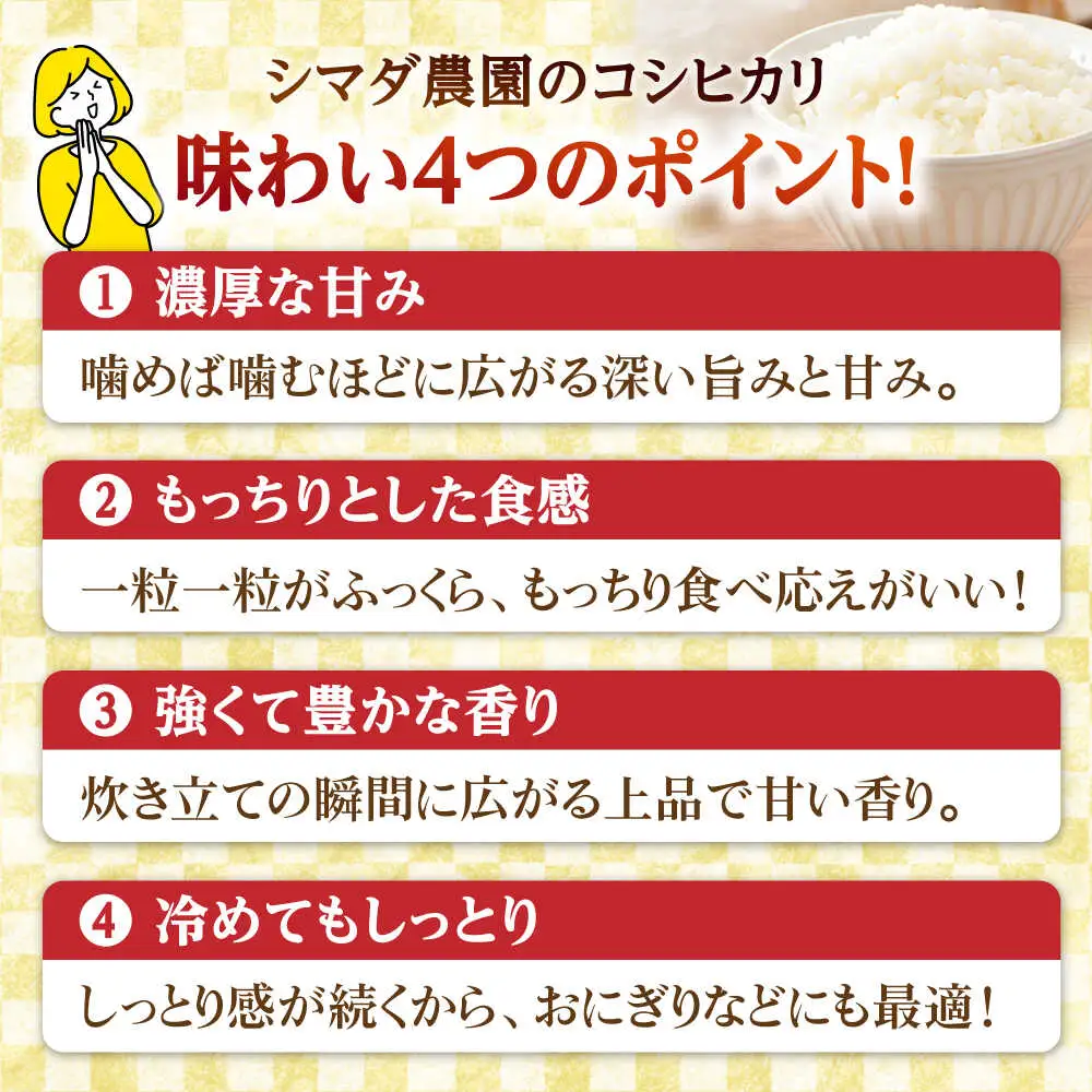 【令和7年産】無洗米 福井県産こしひかり 300g(約2合) × 10パック 計3kg  小浜市 / シマダ農園 [BFAV003]