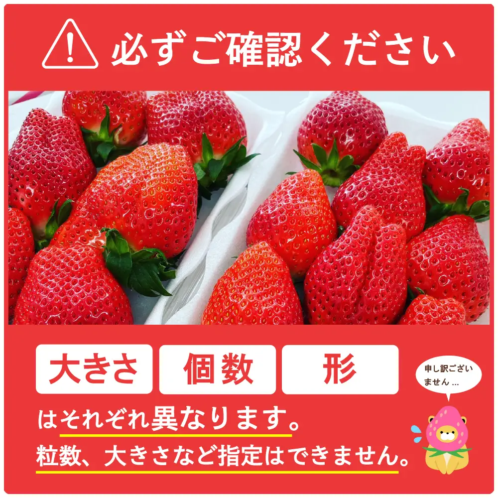 【クール便】2027年5月発送 いちご やよいひめ 約340g×4