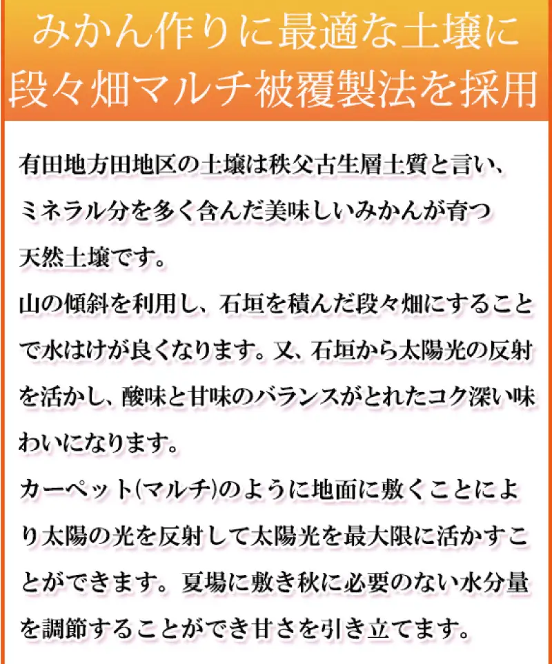 【ご家庭用訳あり】田村みかん　5kg ※2026年11月下旬～2027年1月下旬頃に発送（お届け日指定不可）（お届け日指定不可）訳ありみかん 温州みかん【uot754A】