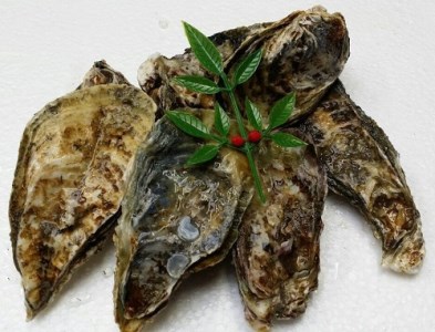 多度津町産 白方かき 電子レンジでお手軽調理　殻付きかき(加熱用)　500g×5袋【令和9年1月頃から4月頃までの期間限定出荷】【A-91】
