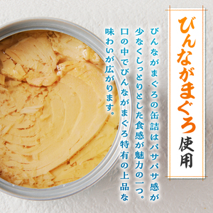 焼津漁協オリジナルツナ缶詰（まぐろ油漬け）12缶入 (a12-163)