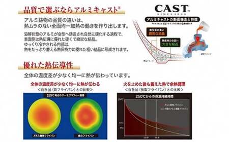 深型 フライパン ガス火用 キャストスタイルライト 24cm テフロン 軽量 北陸アルミ 北陸アルミニウム 日本製 調理器具 キッチン用品 日用品 富山県 アルミキャスト製 厚手調理器 熱伝導性 保温性 均一 加熱 プラチナ 加工  FAD-0980