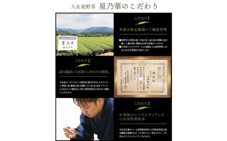 八女茶 煎茶 ティーバッグ 3g×200個入（100個×2袋） お茶 飲み物 和 日本茶 水出し 温かい 旨味 甘味 低温 渋みがない お手軽 オフィス 旅行外 出先 ホット 冷茶 