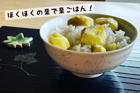 丹波栗 大粒 2L～3L 1.2kg 栗