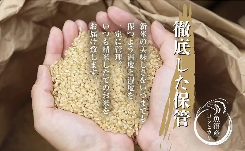 【無地熨斗】 魚沼産 コシヒカリ 2kg ×2袋 計4kg お米 こしひかり 新潟 （お米の美味しい炊き方ガイド付き） 精米 ご飯 ブランド米 銘柄米 
