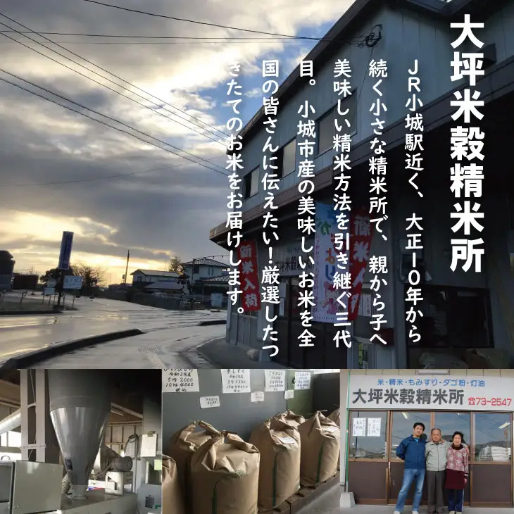 【定期便】 (12ヶ月連続お届け) 大坪精米所 佐賀ブランド米定期便（5kg×12回） 特A評価のブランド米 Q192-003