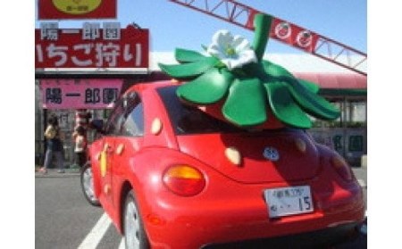 陽一郎園の大粒いちごS（シングル） いちご イチゴ 苺 フルーツ 果物 F4H-0030