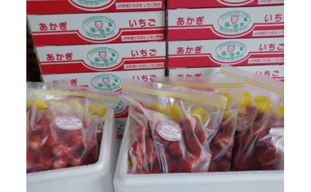 陽一郎園の完熟冷凍いちご 2.7kg【令和4年群馬県いちご品評会銀賞受賞】 F4H-0891