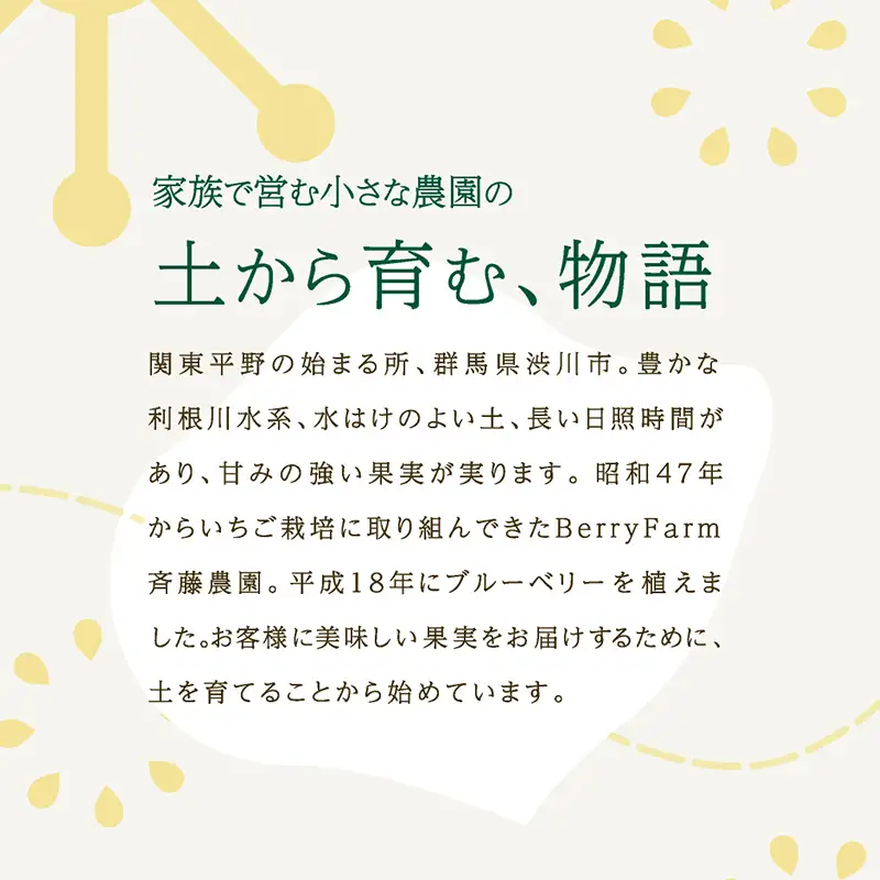 ブルーベリー特選大粒600g 朝摘みでお届け！【6年連続最高金賞受賞 群馬県ブルーベリー品評会2021~2026年】化学農薬不使用 除草剤不使用 フルーツ 果物 F4H-0683