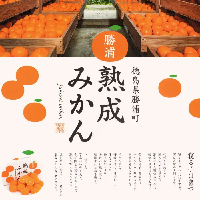 みかんジュレ 8個