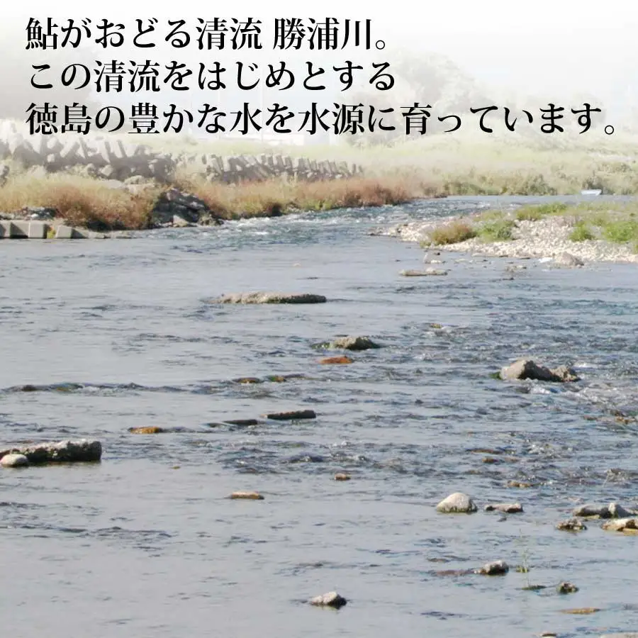 鮎の一夜干し 8尾