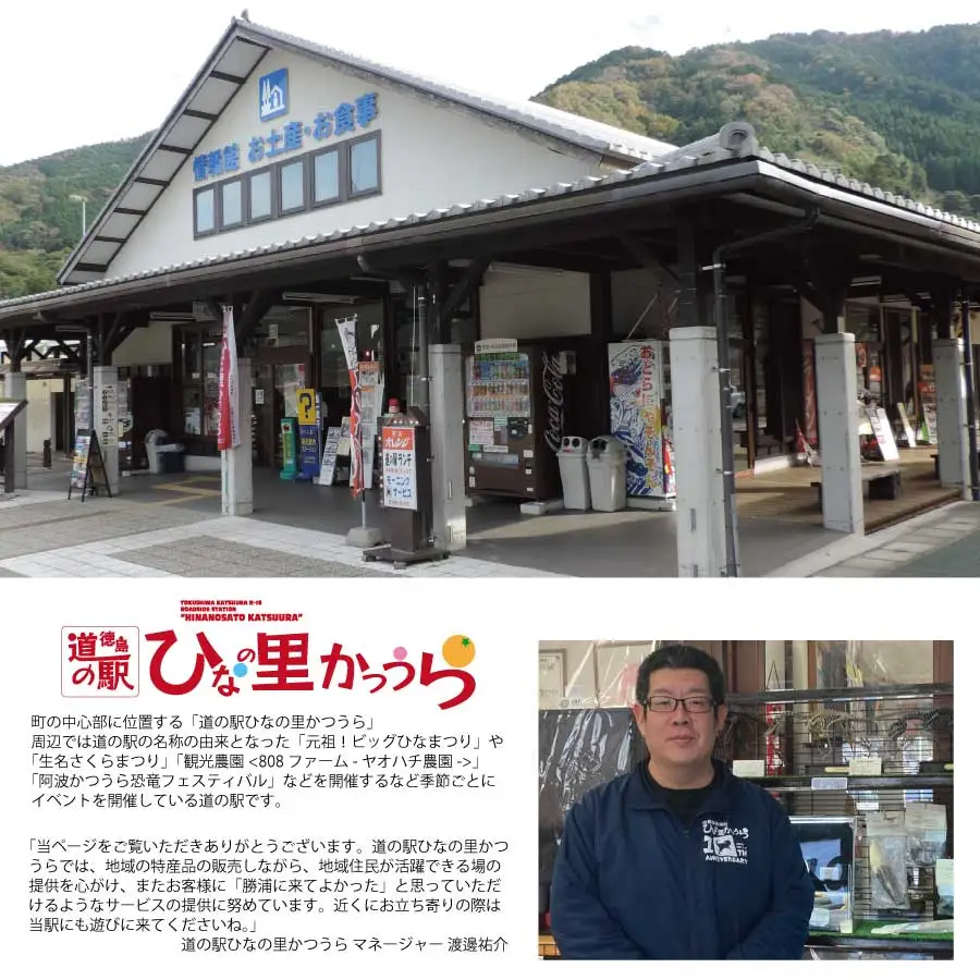 かつうら恐竜サイダー 12本