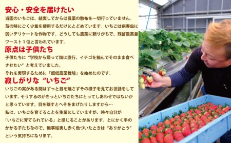 VERY40% マルチ園のいちごアイスクリーム 6個