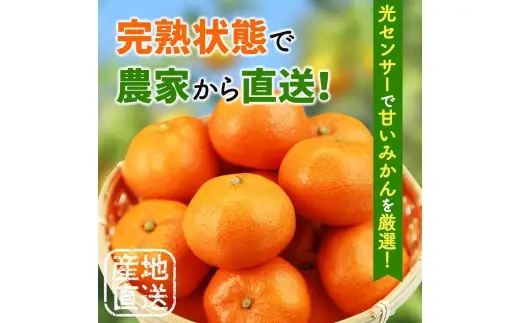 鹿蔵 プレミアム 有田 みかん 1kg+250g（傷み補償分）(完熟)  / 温州みかん 有田みかん 光センサー 選別 甘い  和歌山 柑橘 ※2026年10月上旬～11月中旬頃に順次発送予定 ※北海道・沖縄・離島への配送不可 【ikd004-prem-1B】