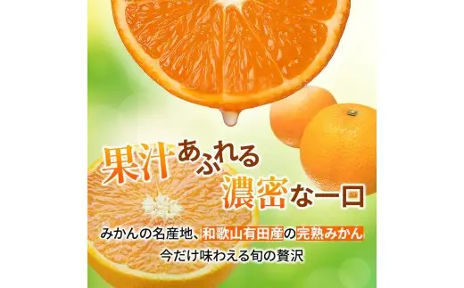 家庭用 有田 みかん サイズ混合(2S～2L) 5kg+250g ※11月発送(完熟) / 温州みかん 有田みかん 訳あり 甘い 光センサー選果 果物 柑橘 和歌山 ※北海道・沖縄・離島への配送不可 【ikd004-cm-5-novC】