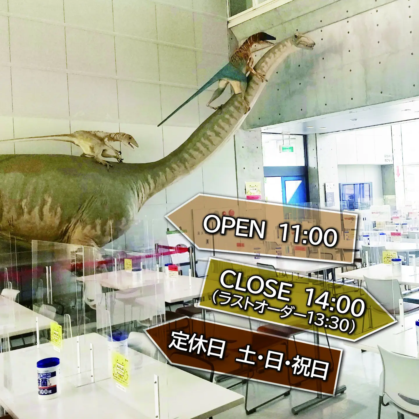 県大レストラン 食事券 250円券×11枚綴り（福井県立大学永平寺キャンパス内）[A-039001]