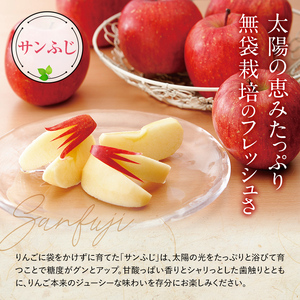 【令和8年産先行予約】 JA りんご 「サンふじ」 約10kg (28～40玉 秀) 《令和8年11月中旬～12月中旬発送》 『JA山形おきたま』 林檎 リンゴ 果物 フルーツ 山形県 南陽市 [720-R8]