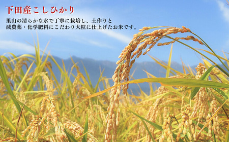 先行予約 コシヒカリ 4kg(2kg×2) 新潟県三条市下田産 コシヒカリ 精米