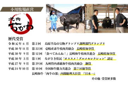定期便 12回 牛肉 雲仙育ち おがわ牛 A5 サーロインステーキ 総計4.8kg(400g×12回) [焼肉おがわ 長崎県 雲仙市 item2112] ステーキ 黒毛和牛 冷凍
