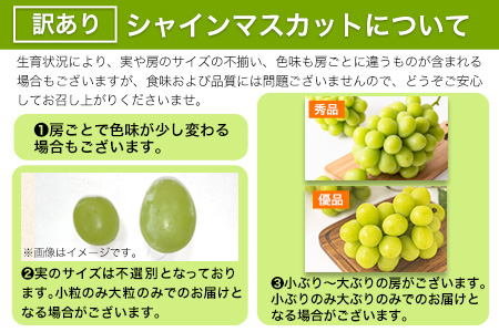 【ふるなびWEEK対象】シャインマスカット 約2kg ｼｬｲﾝﾏｽｶｯﾄ