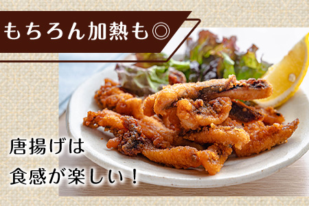 唐津呼子産 丸ごといか(大サイズ)下処理済 1kg以上 海鮮 新鮮 刺身 フライ 煮物 姿焼 「2023年 令和5年」