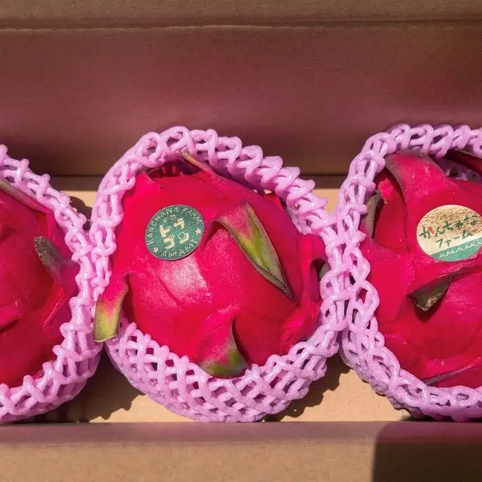 奄美産 食べごろ樹上完熟『赤蜜ドラゴンフルーツ』1kg×2箱セット 【先行予約　7月~10月発送】