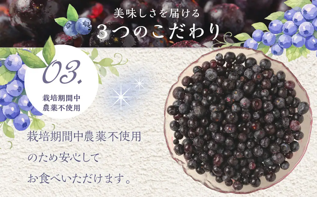 九重町産 冷凍 ブルーベリー 約2kg (1kg×2袋) 果物 フルーツ 冷凍フルーツ 冷凍果物 大分県 九重町産 