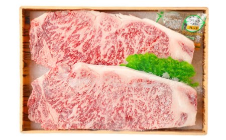 おおいた和牛 サーロインステーキ 480g 牛肉 豊後牛 ステーキ