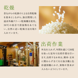 令和7年度 特別栽培米 コシヒカリ 白米 2kg