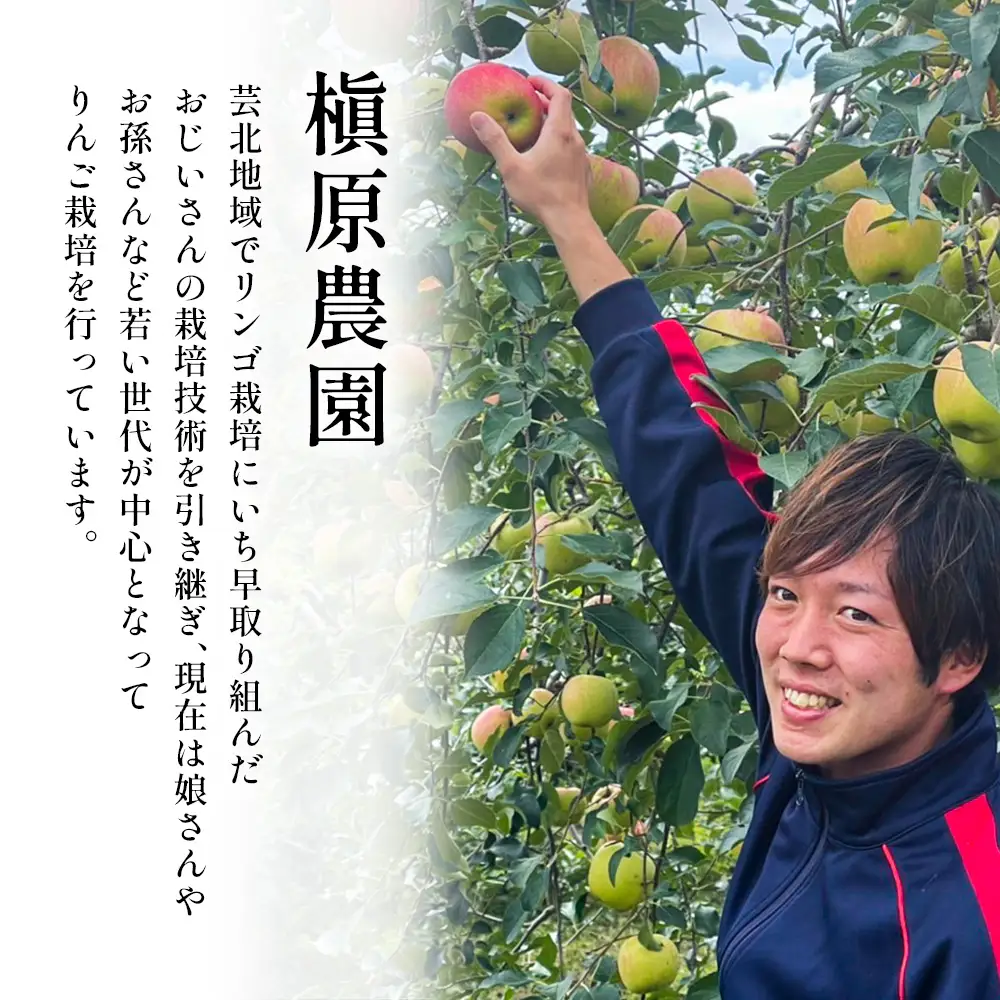 ≪10月中旬以降発送≫りんご 国産 3kg 農家直送 槇原農園 芸北りんご 林檎 トキ 早生ふじ 千秋 シナノドルチェ シナノスイート ぐんま名月 シナノゴールド ふじ_MA077_001