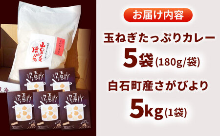 【先行予約 2026年11月～発送】さがびより（白米）5kg＆カレー 5袋詰め合わせ / カレー 白米 [IAT002]