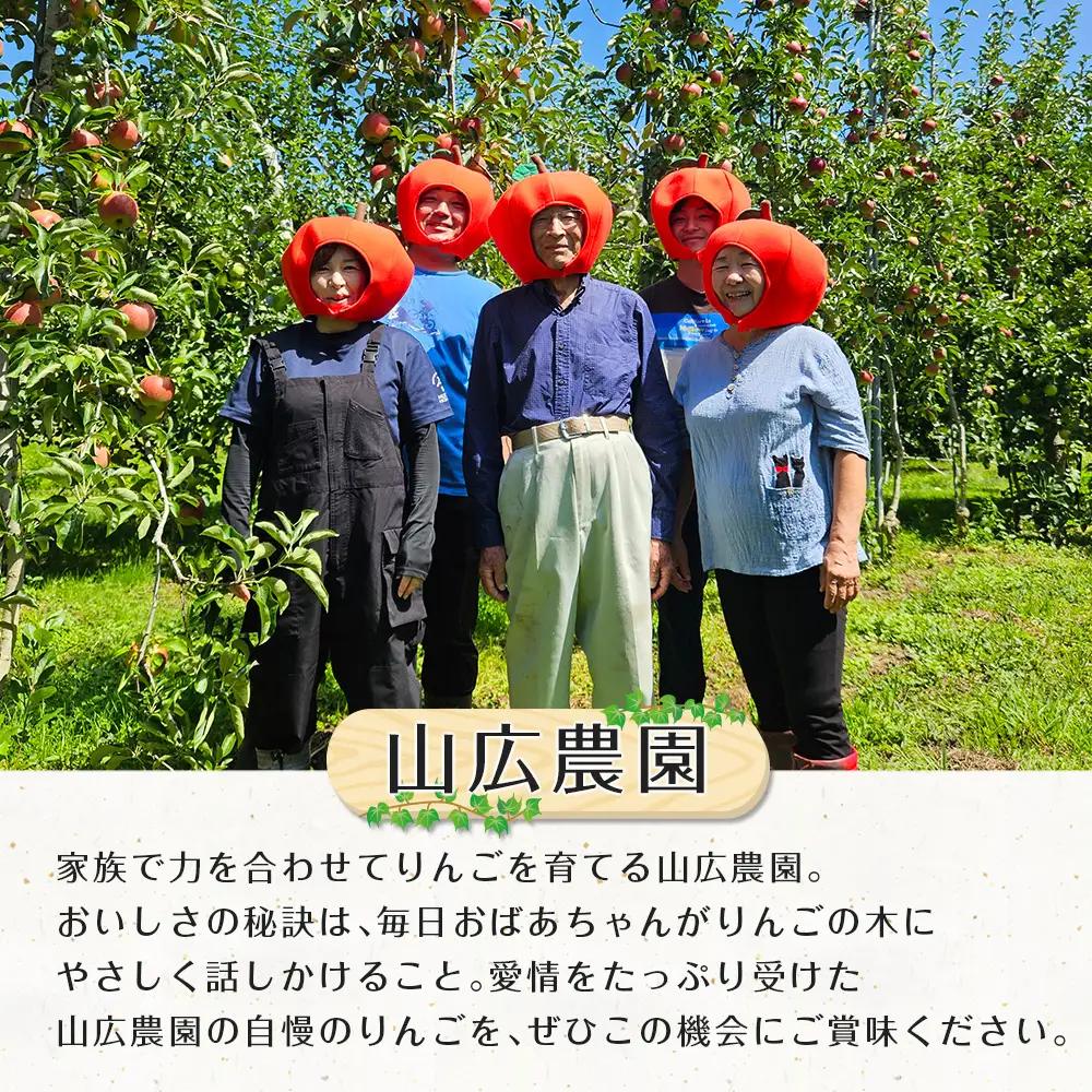 ≪10月中旬以降発送≫りんご 国産 3kg 農家直送 山広農園 芸北りんご 林檎 秋映 シナノスイート 陽光 ぐんま名月 王林 シナノゴールド ふじ_YA023_001