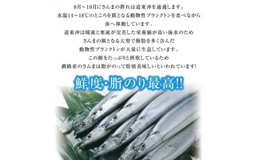 道東産 さんま2kg(16-18尾）【氷水ごと冷凍便にて発送】 さんま 北海道 釧路 旬 海鮮 新鮮 魚 魚介 2kg 獲れたて 014-0628