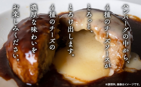 極み焼きハンバーグ（4種のチーズソース）