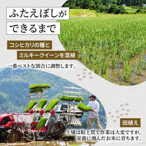 令和8年産 新米 魚沼産 特別栽培 ふたえぼし 精米 5kg 米 こめ お米 コメ 新潟県 魚沼市 魚沼 特別栽培米 
